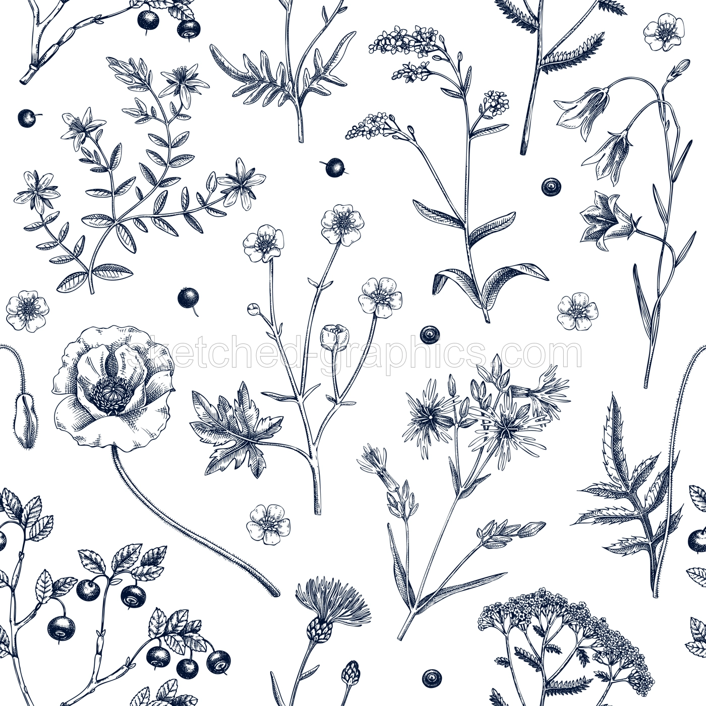 Summer background with flowers and berries. Wildflowers seamless pattern in sketch style. Herbs, meadows, flowering plants vector illustrations. Floral design in engraved style for textile or fabric Illustration